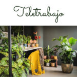 Teletrabajo – Como montar una floristería online 2022